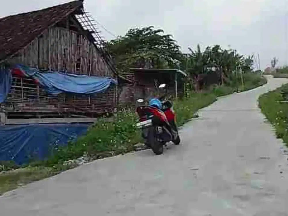 DI JUAL KANDANG AYAM ADA SUNGAINYA VIEW GUNUNG MURAH