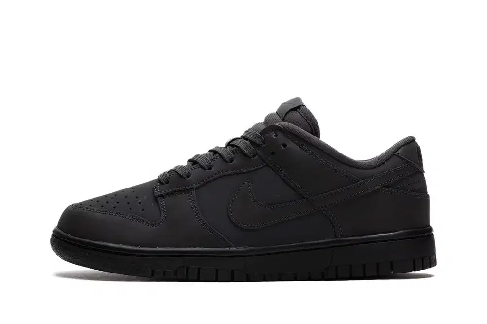 Nike Dunk Low Antrachite