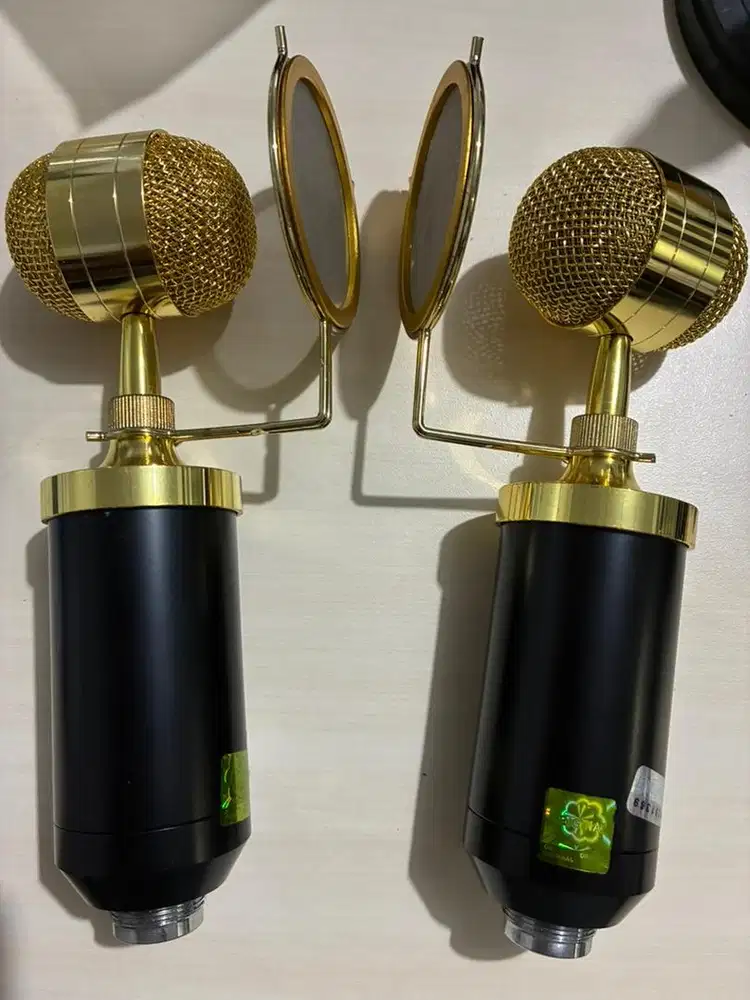 Mic TaffStudio BM 8000