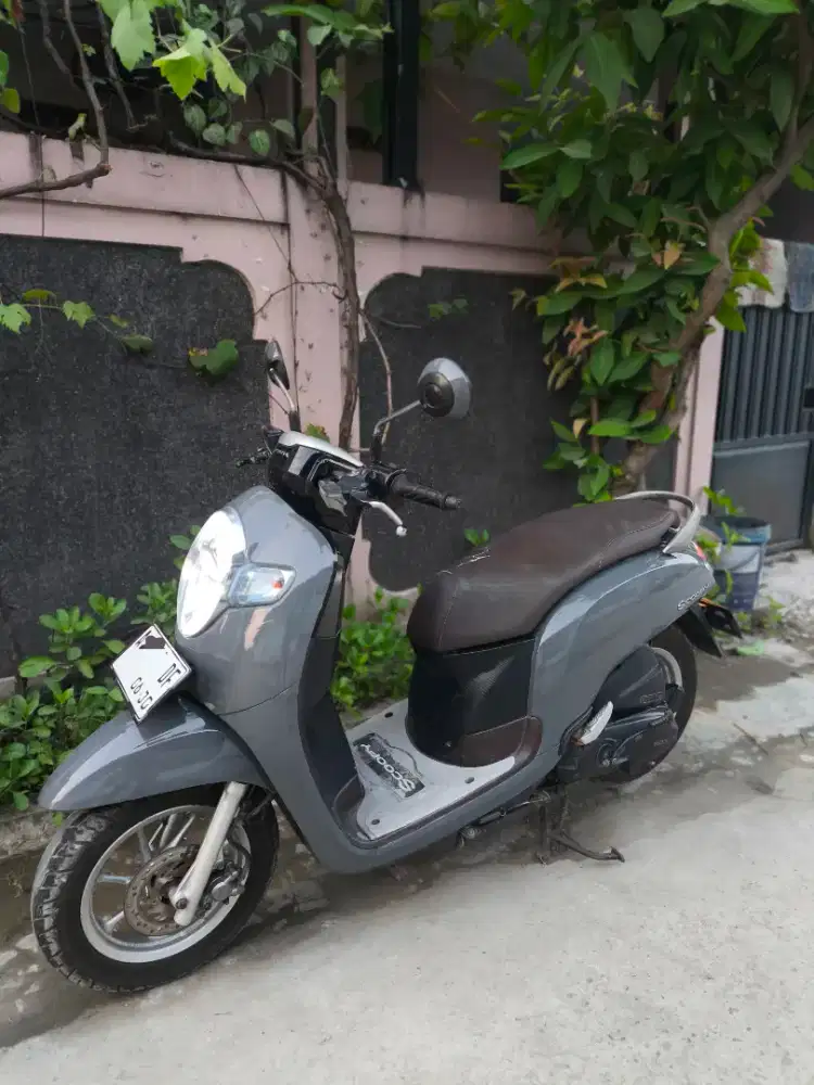 Scoopy Pajak hidup