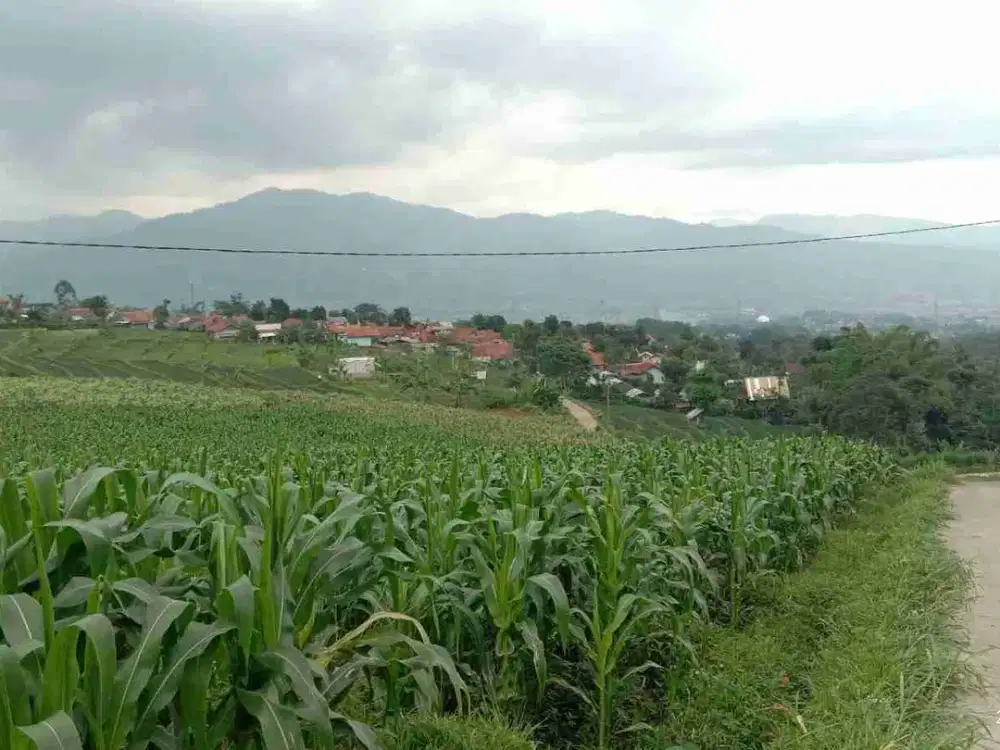JUAL CEPAT TANAH MURAH AKSES MASUK MOBIL VIEW PEGUNUNGAN CIMAUNG GUNUNG PUNTANG