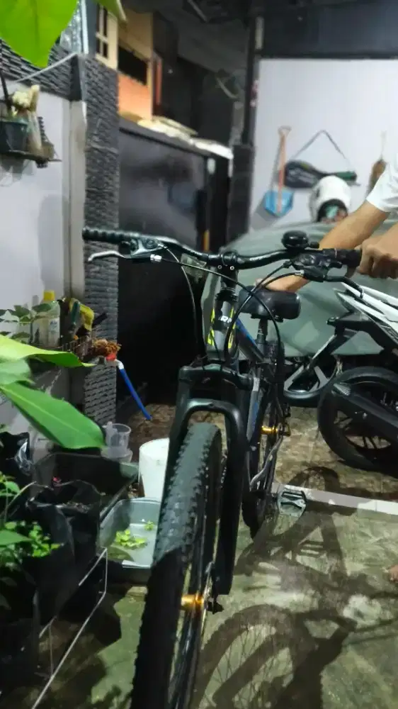 Sepeda Gunung Mtb Evergreen, pemilik pribadi