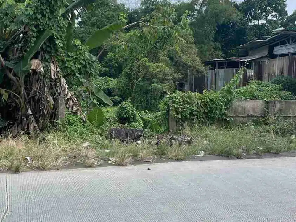 Jual Tanah Strategis Depan Jalan Dekat Sentraland Paradise, Millennium city dll Parung Panjang