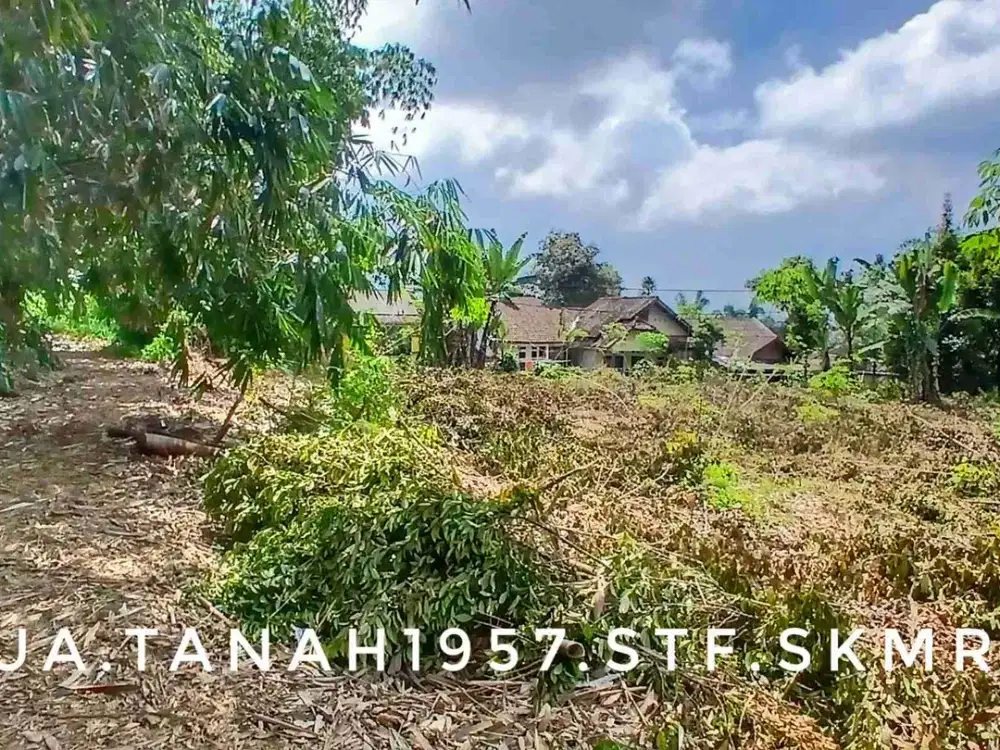 Dijual tanah kebun pinggir jalan strategis subur lingkungan asri