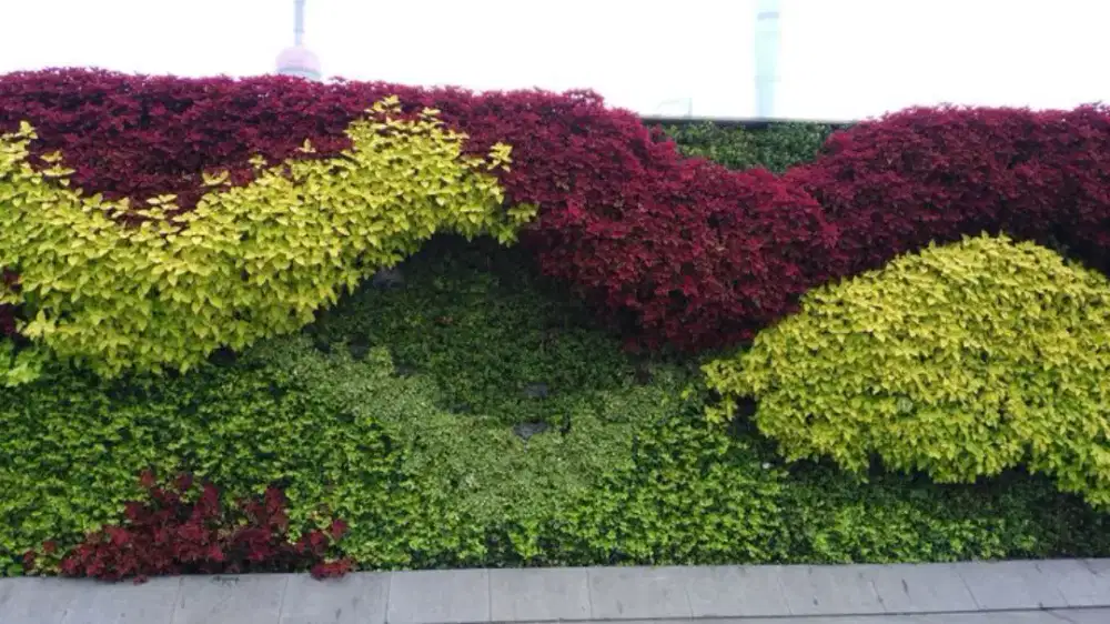 taman vertikal garden asri