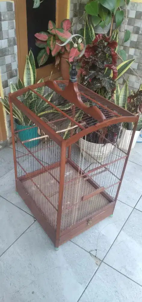 Kandang Kotak no 2