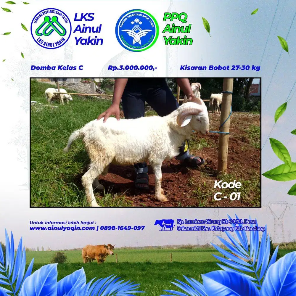 Murah Hewan Qurban Promo Idul Adha