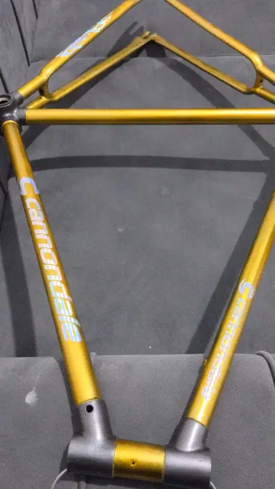 Frame bahan sepeda fixie ring 28