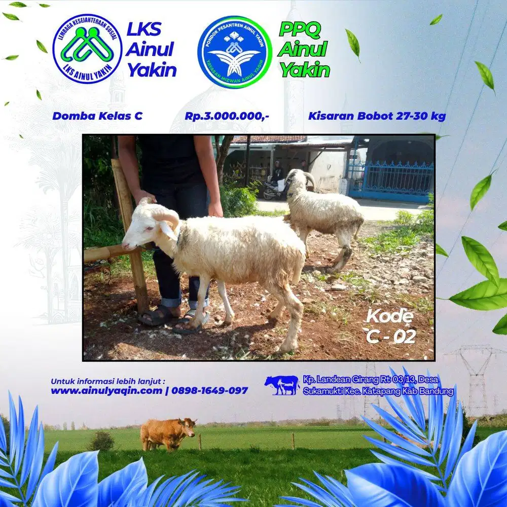 Jual Hewan Qurban Harga bersahabat