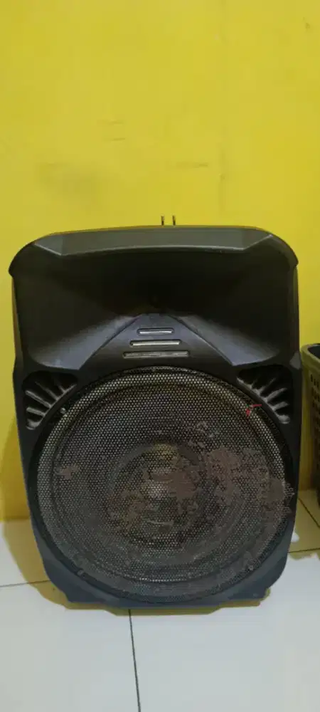 Speaker Asatron Manchester 15 inch