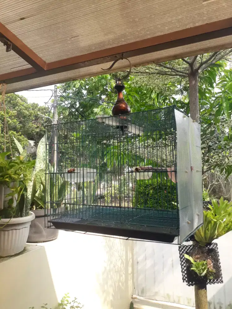 2 Buah Sangkar Burung. Bahan Besi
