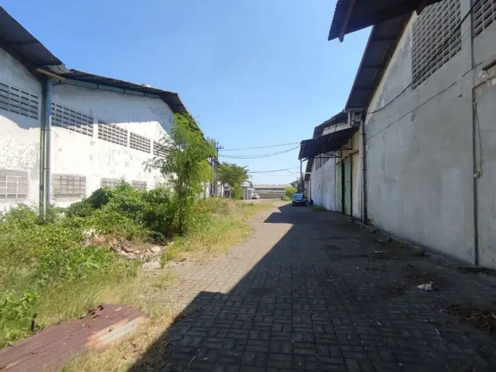 Gudang Ready Tambaksari Sawah Tropodo Waru Sidoarjo