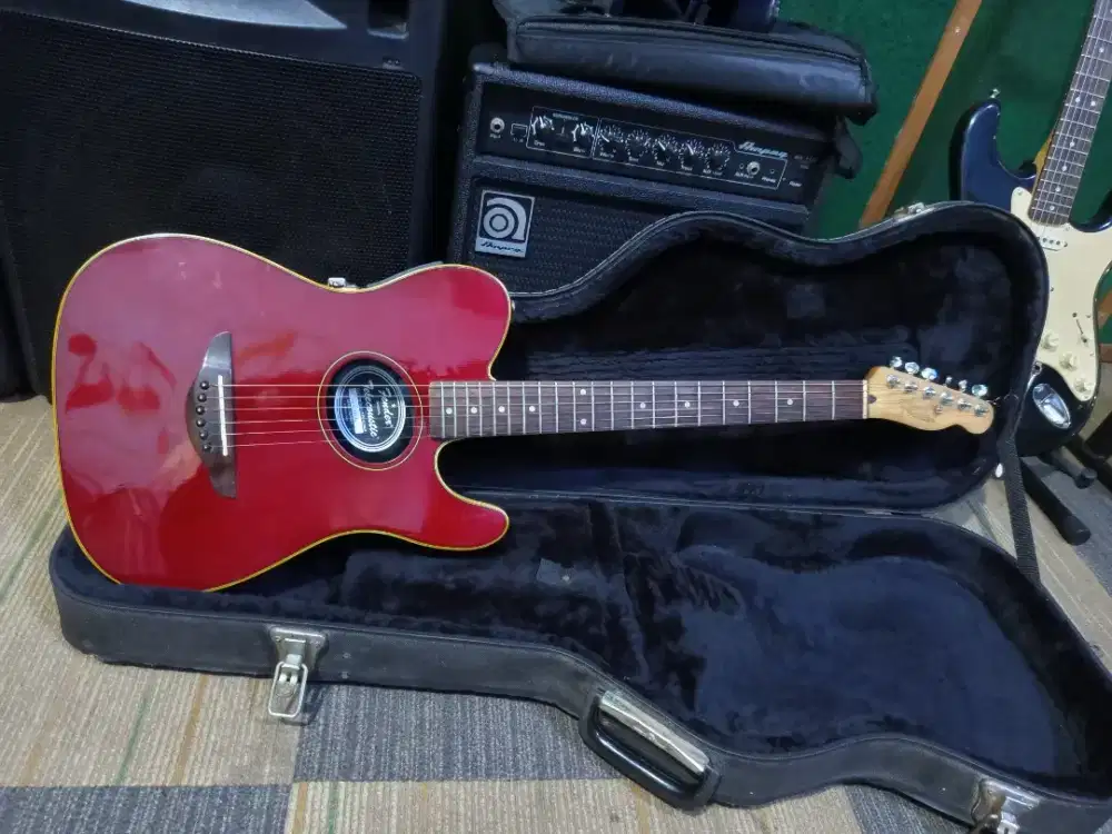 Fender Telecoustic original