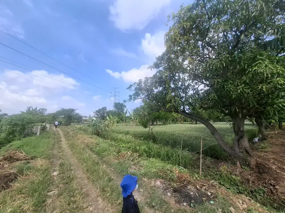 Dijual Tanah Cocok untuk Kavlingan / Perumahan