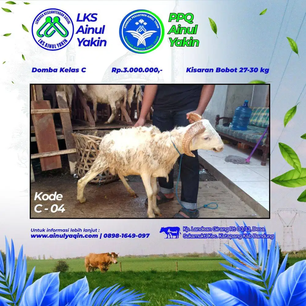 PROMO HEWAN QURBAN