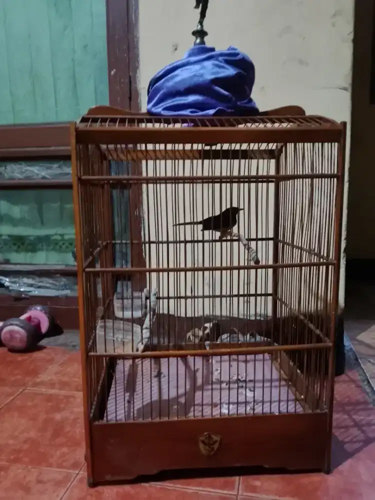Kandang kayu kotak
