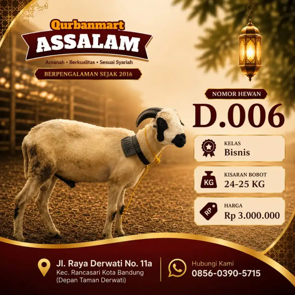 Jual domba dan sapi buat kurban