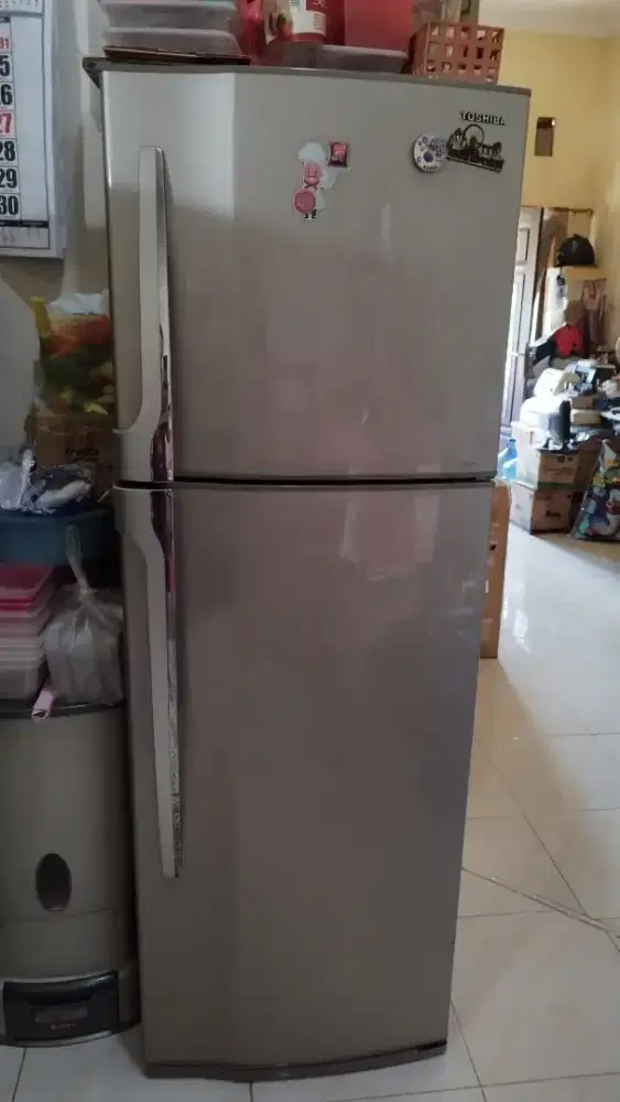 Kulkas Toshiba 2 pintu tipe GR-R25SET