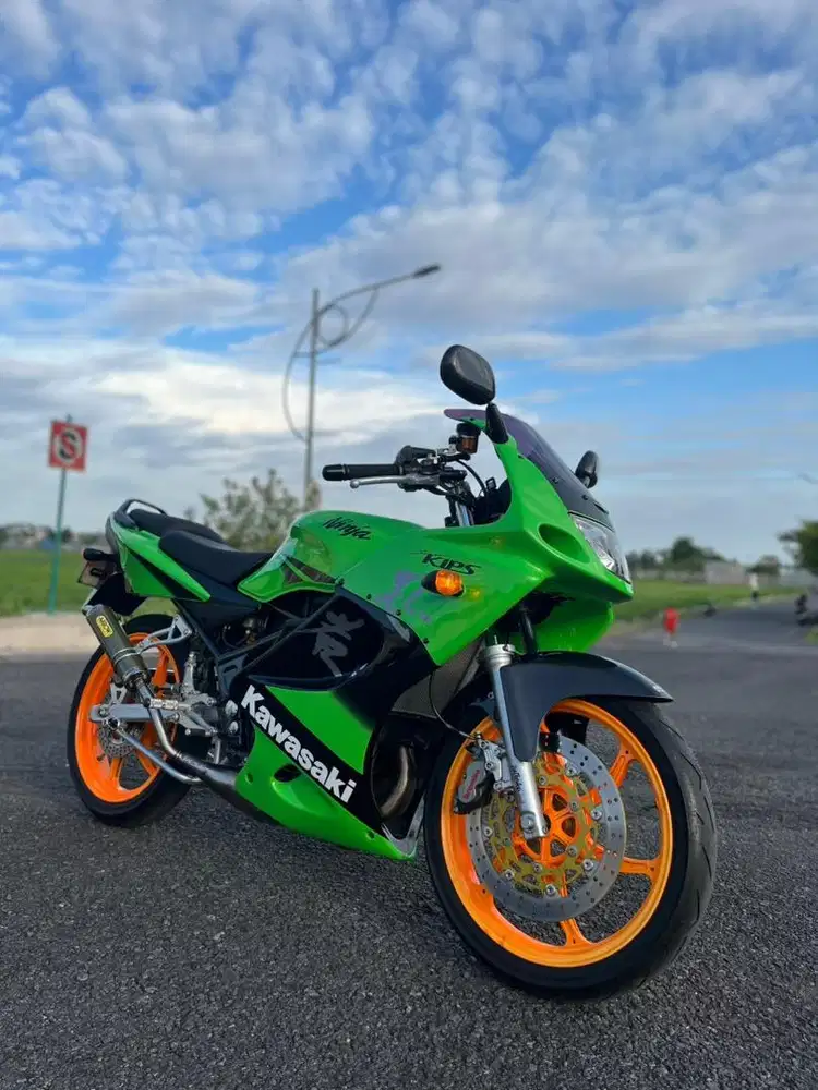 Kawasaki Ninja RR Special Edition 2011