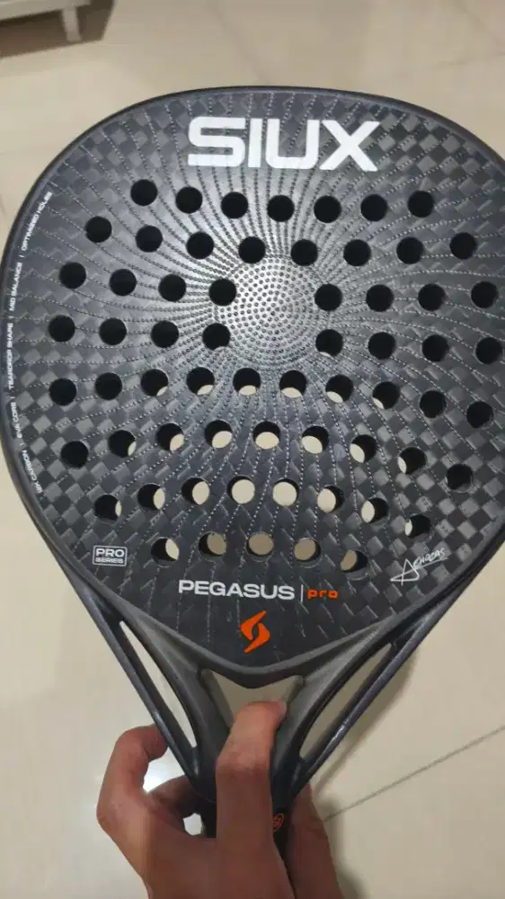 siux pegasus 2026