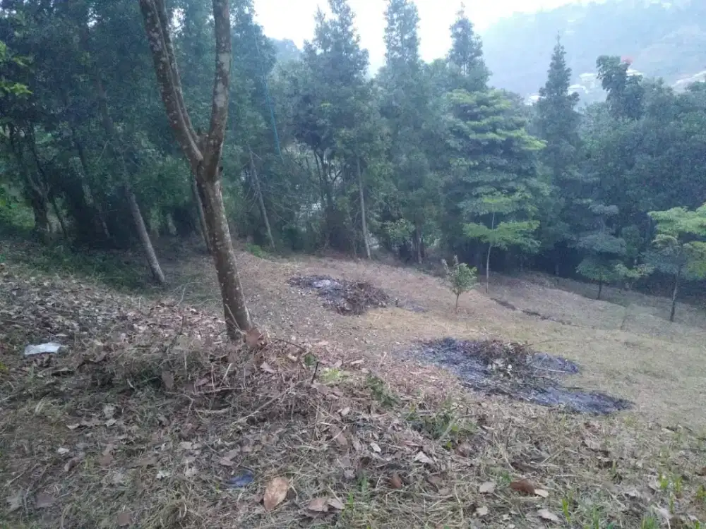 Dijual Tanah Kavling Mainroad Cocok Untuk Villa, Resort Maribaya