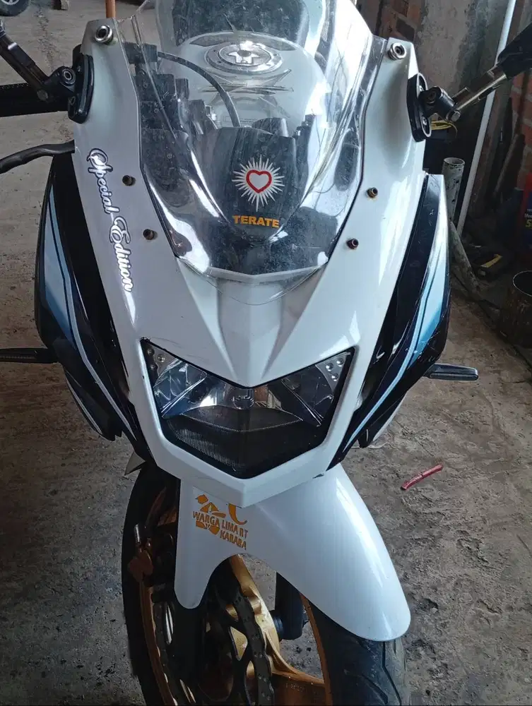 Ninja RR SE 2013
