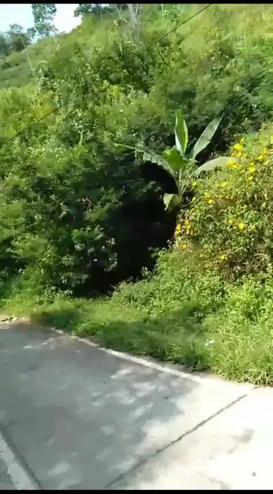Jual Tanah pinggir jalan desa margalaksana sumedang