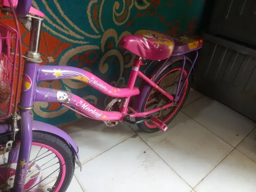 Sepeda Anak Anak