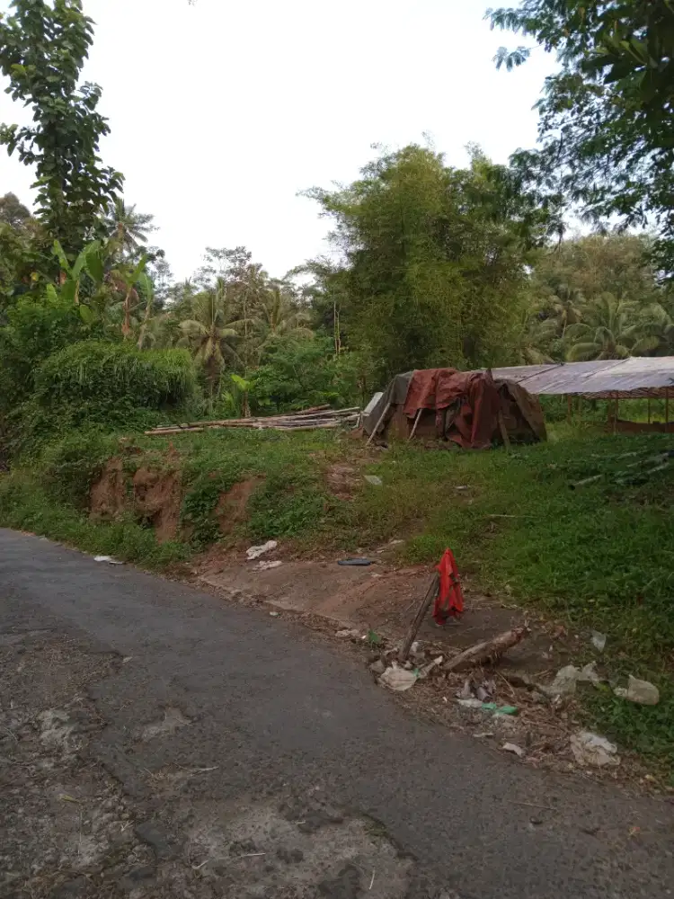 Di jual tanah lokasi desa bandung kodok,japunan mertoyudan magelang