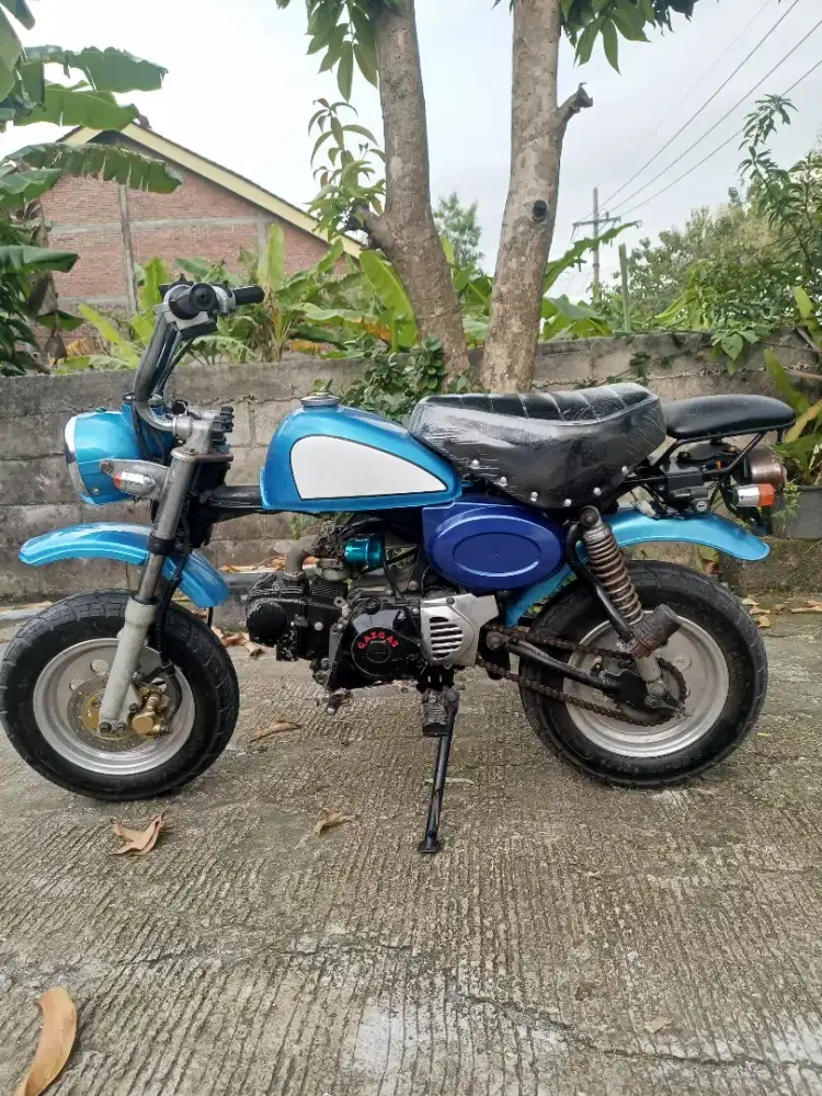 Gazgas monkey not monkey dax motor mini monkey