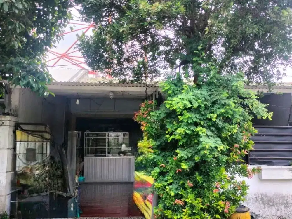 JUAL CEPAT RUMAH 1LANTAI SIAP HUNI SIMPANG DARMO PERMAI DKT LONTAR PAKUWON