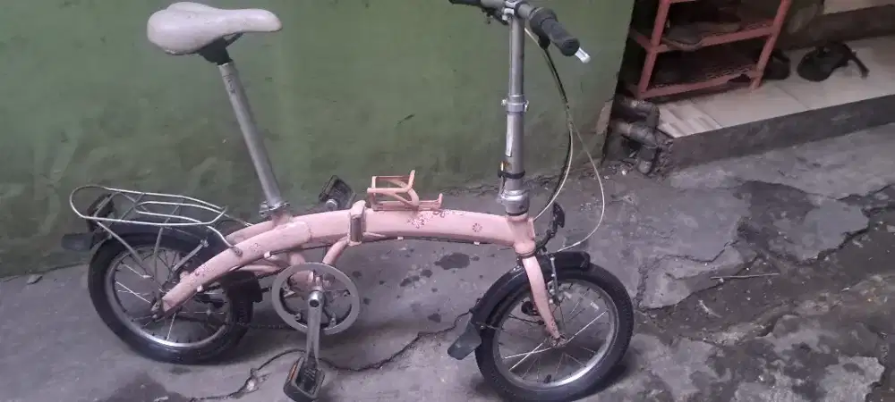 Sepeda dahon curve 16