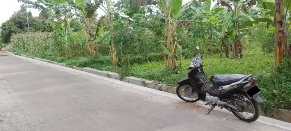 BU SECEPATNYA DIJUAL TANAH 3768 METER BUBAKAN MIJEN 1.000.000/M NEGO