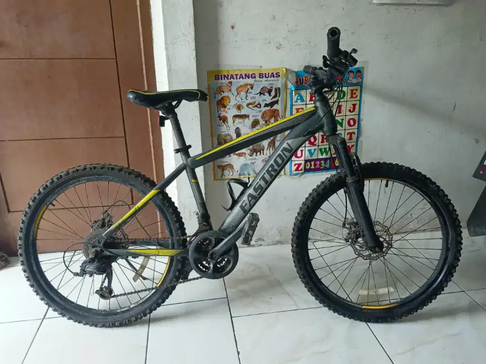 Sepeda FASTRON F-260 MX