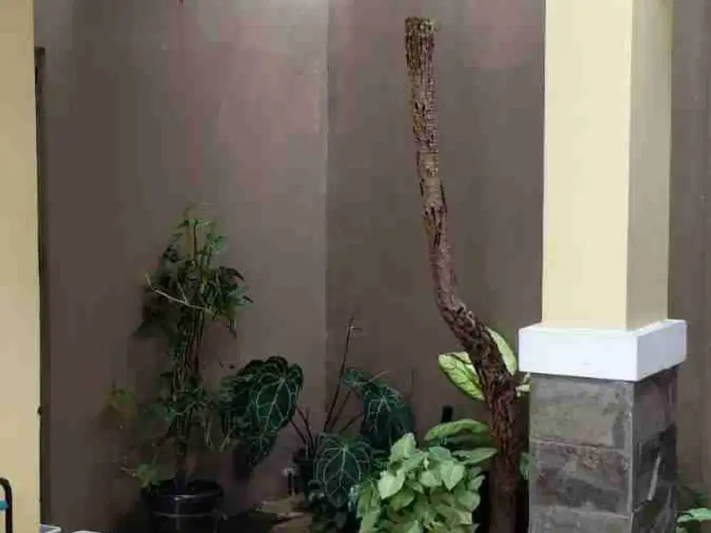 di jual Cepat Rmh di Bintaro komplek pertamina pondok Ranji, ciputat timur  Tangsel, bbs banjir, akses jln lebar.. nego