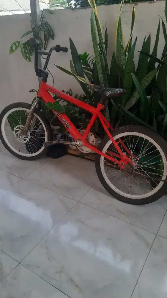 jual sepeda anak remaja