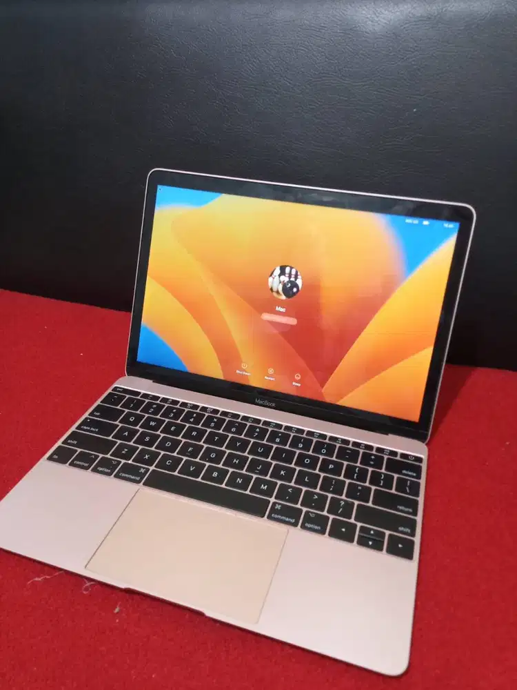 Jual Macbook Retina 2017 Rosegold