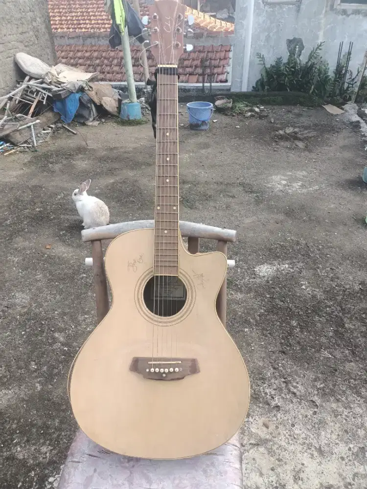 Gitar model cutaway
