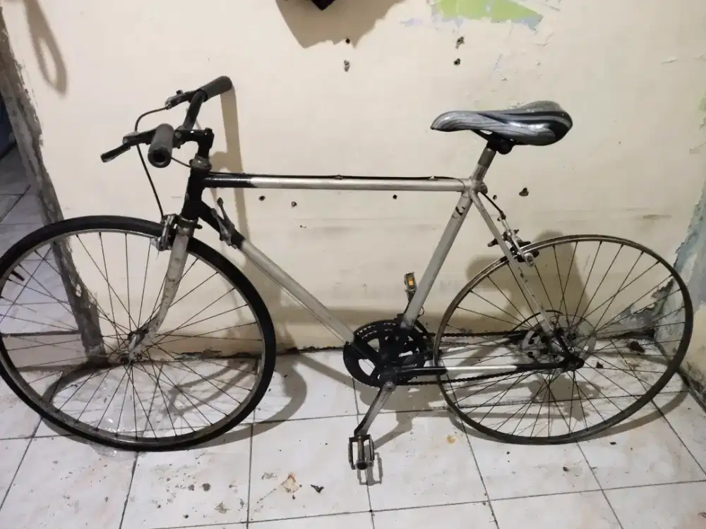 Sepeda Balap the Raleigh