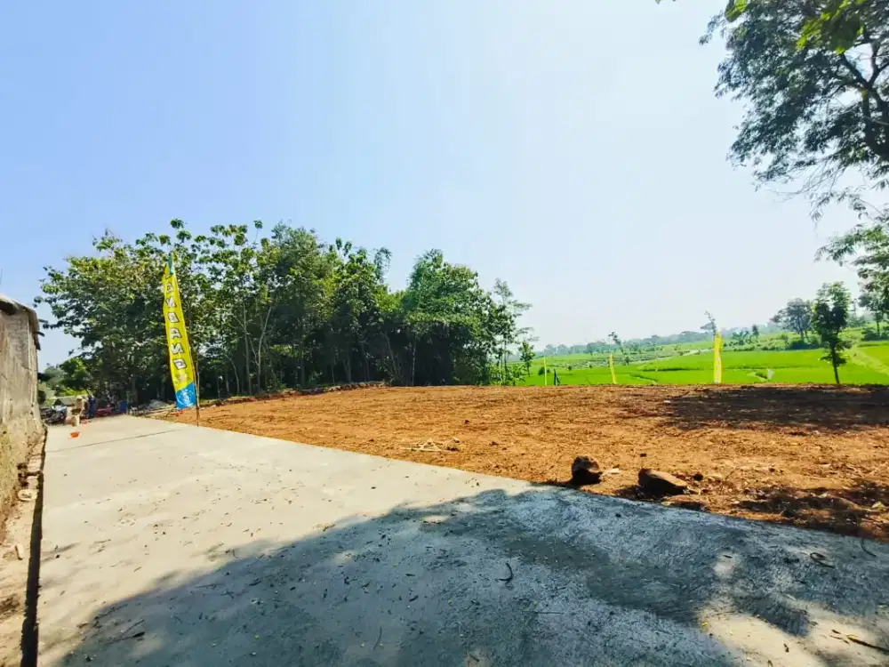 Dijual tanah di kedawung sragen