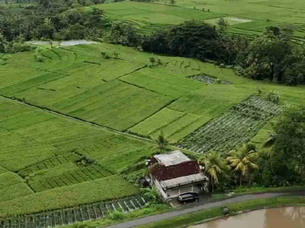 Dijual Rumah + Kebun Buah, View istimewa.