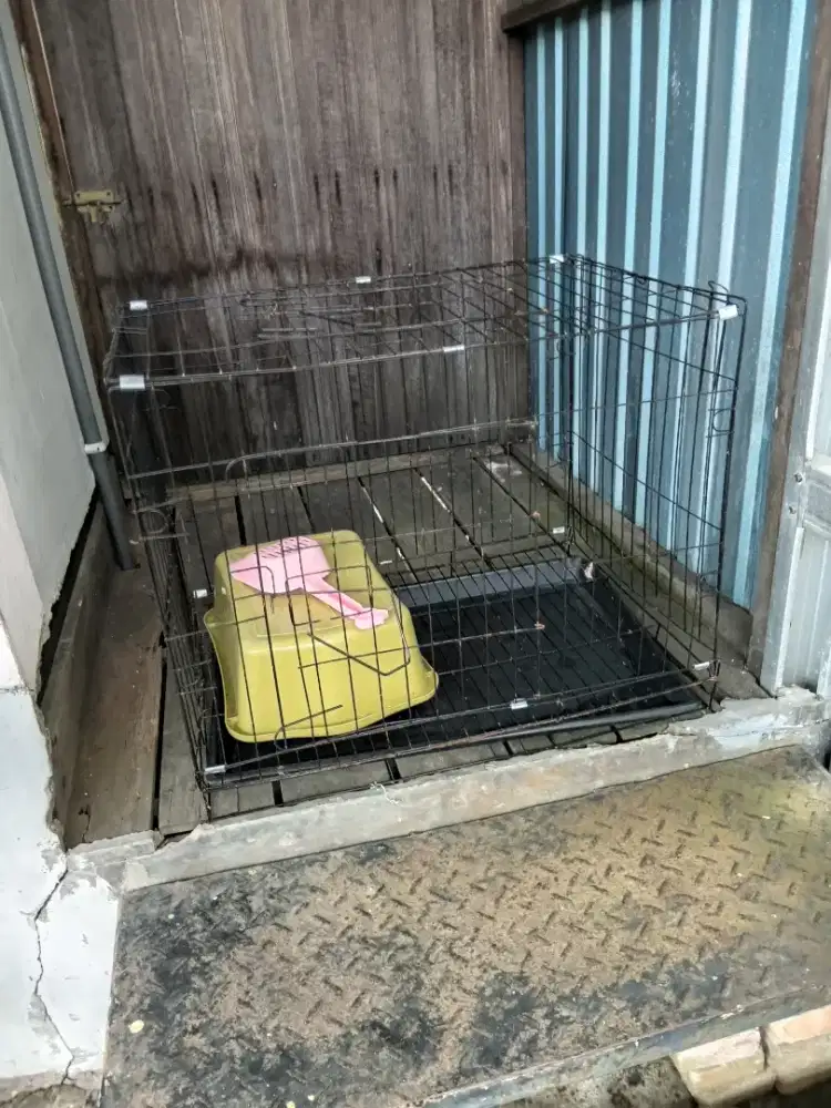 Kandang kucing. Bagus