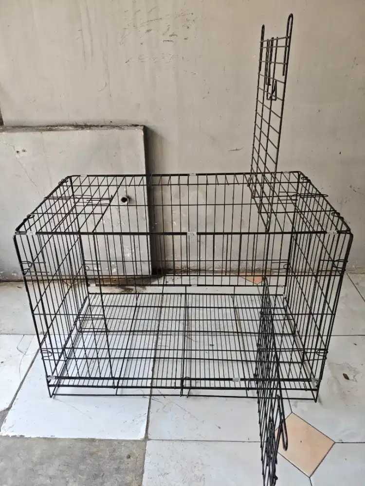 Kandang kucing + perlengkapan