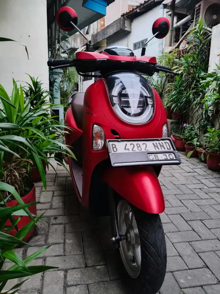 Scoopy 2025,(kyles),pajak on