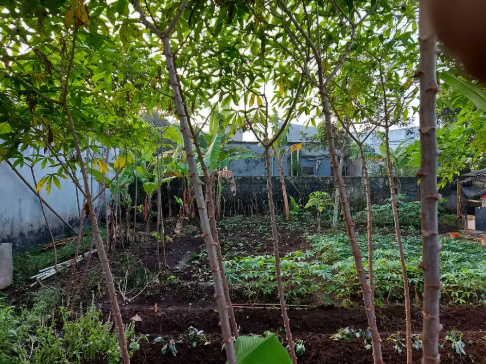DIJUAL CEPAT TANAH SUBUR STRATEGIS