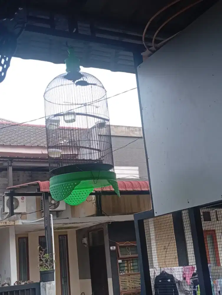 Kandang kapsul lb dan petak mini