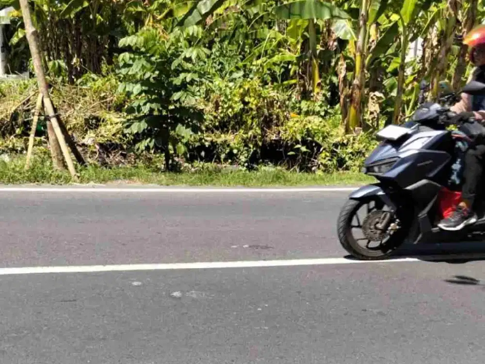 tanah pinggir jalan perenenan Utara Mengwi Badung bali