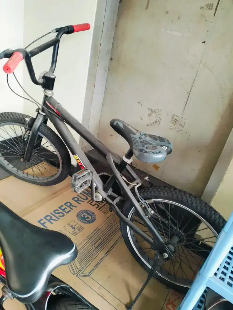 Sepeda anak Pasific ring 20 BMX
