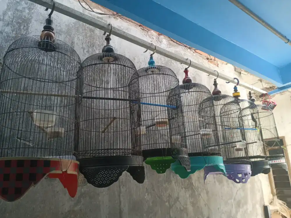 SANGKAR LB,LB DAN SANGKAR KECIL