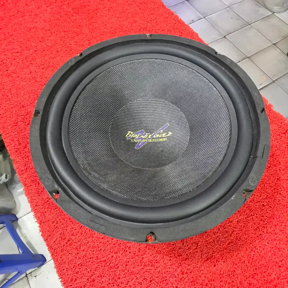 Subwoofer PHOENiX GOLD XS SERIES 104 dvc Subwoofer PHOENiX GOLD 10 in